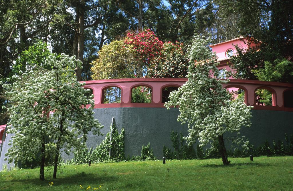 Bio Hotel - Hotel Quinta Da Serra Câmara de Lobos Exteriér fotografie